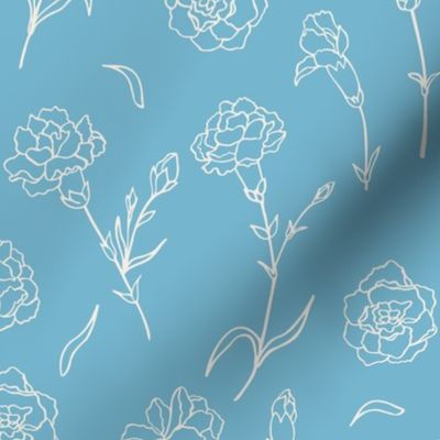 Carnation on blue background