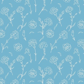 Carnation on blue background