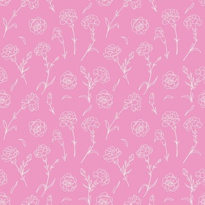 Carnation on pink background