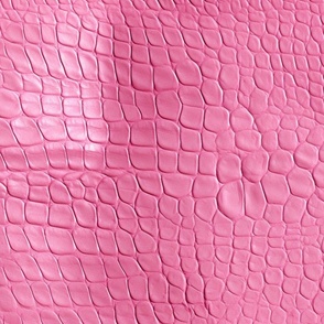 Pink Alligator 3
