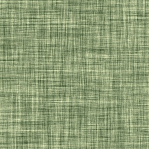 linen solid // sage green