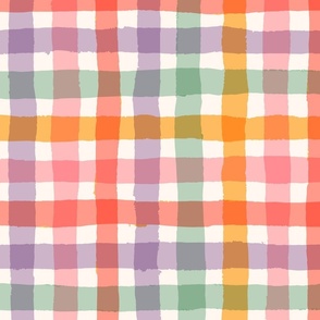 Colourful Bright Gingham Plaid Check Rainbow Large Scale