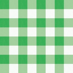 Twill Textured Gingham Check Plaid (1" squares) - La Palma Green and White  (TBS197)