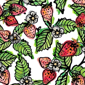 Big strawberries spread our in Watercolor-Crisp white background