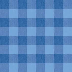 Twill Textured Gingham Check Plaid (1" squares) - Pantone Nautical Blue and Little Boy Blue  (TBS197)