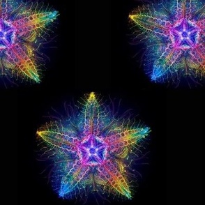 Bioluminescent Rainbow Starfish - Large