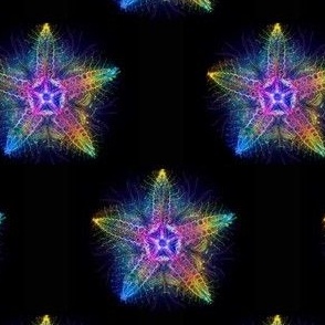 Bioluminescent Rainbow Starfish - Medium
