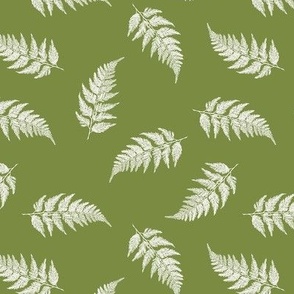 Small Scale Forest Ferns in Green