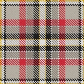 Waffle Grid Plaid in Gray and Red