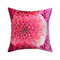 Dahlia Border Print ~ Perfectly Pink