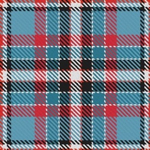 Waffle Grid Plaid in Red Grayed Blue and Black