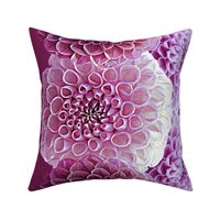 Dahlia Border Print ~ Plum Perfection