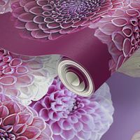 Dahlia Border Print ~ Plum Perfection