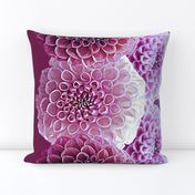 Dahlia Border Print ~ Plum Perfection