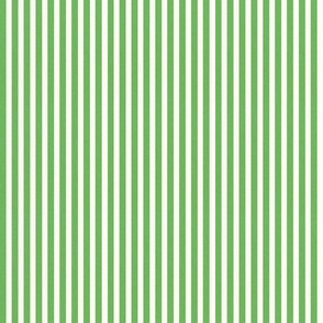 green ticking stripe