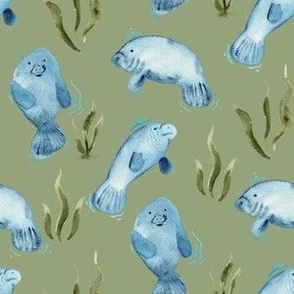 Watercolor Manatees in blue on matcha green