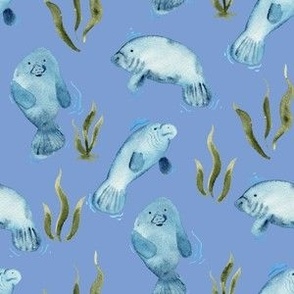 Watercolor manatees on cornflower blue with seaweed