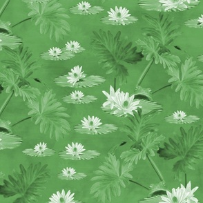 Green and White Peek a Boo Tropical Animal Camouflage Creatures, Green Monochrome Lily Pad Flowers, Funny Peeping Frogs, Green Frog Hiding, Lily Pad Blossom Flowers LARGE SCALE