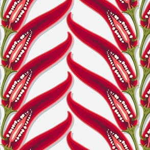 Vertical stripes of hot peppers on a white background