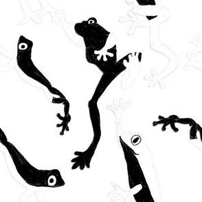 Black and White Leaping Frogs