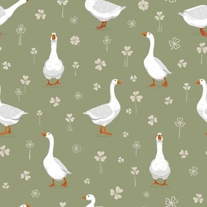 White geese on soft green