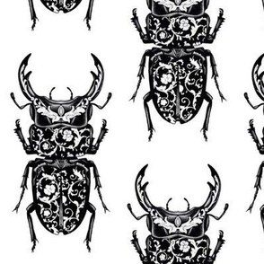 Floral pattern Stag Beetle Drawing