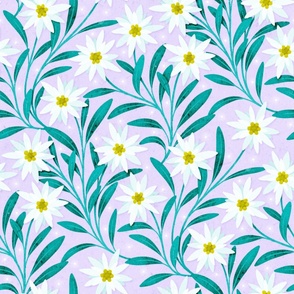 Edelweiss Lilac Large Scale