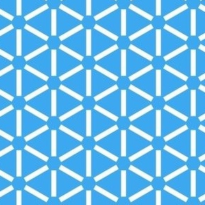 beach umbrella hexagon geometric blue white normal scale