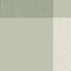 Twill Textured Gingham Check Plaid (6" squares) - Lousiburg Green and Wind Chime Pale Sage on Soft Chamois  (TBS197)