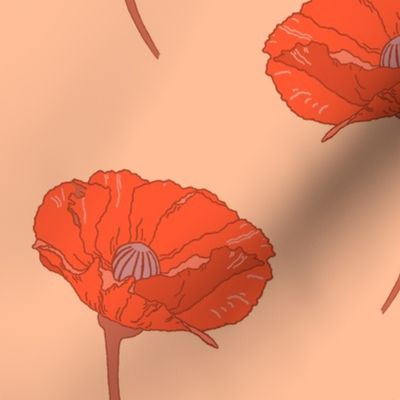 Red Poppy on Peach