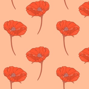 Red Poppy on Peach