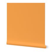 Printed Plain Solid Coordinate - Pantone Blazing Orange (TBS107)