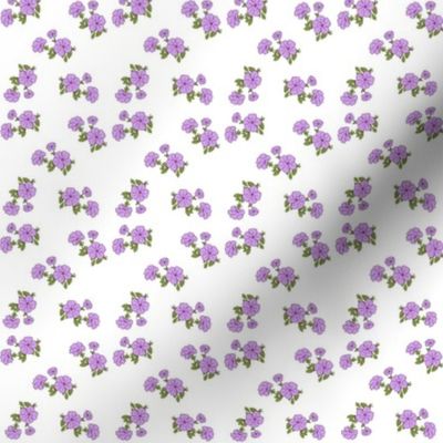 Lilac Petunias - Mini