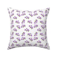 Lilac Petunias - Medium