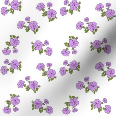 Lilac Petunias - Medium