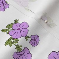 Lilac Petunias - Maxi