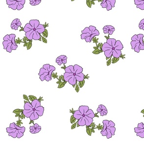 Lilac Petunias - Mega