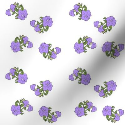 Purple Petunias - Medium