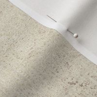 Concrete Texture - Natural Beige
