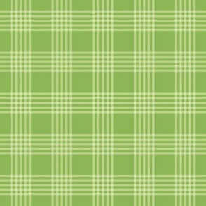 Medium scale / Pastel plaid 5 thin lines on retro green / Warm light pale pear apple and gingham checks / simple classic plain vichy caro stripes / 60s 70s modern fun fresh spring blender