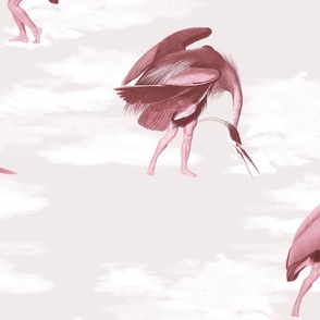 Crane Bird-boys in vintage pink