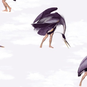 Crane Bird-boys in purple lavender