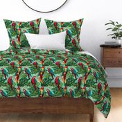 tropical parrot flock in red gold and blue teal