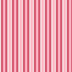 Awning Stripe - pink - narrow