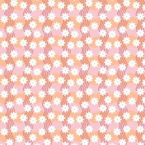 Peach fuzz daisies