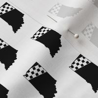 Indiana Racing, Indy Car Racing, Indianapolis Indy 500 Fabric