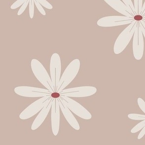 Soft pink daisies