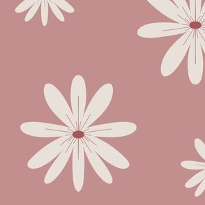 Little pink daisies