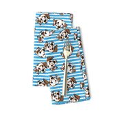 Dalmatians - blue stripes - LAD24