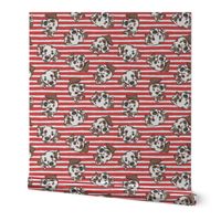 Dalmatians - red stripes - LAD24